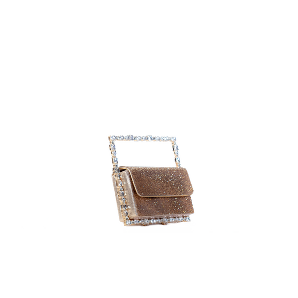 Sabeen Crystal Frame Clutch
